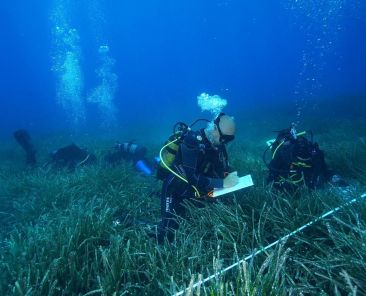 25-02-26-PRADERAS-POSIDONIA-3-260225130156